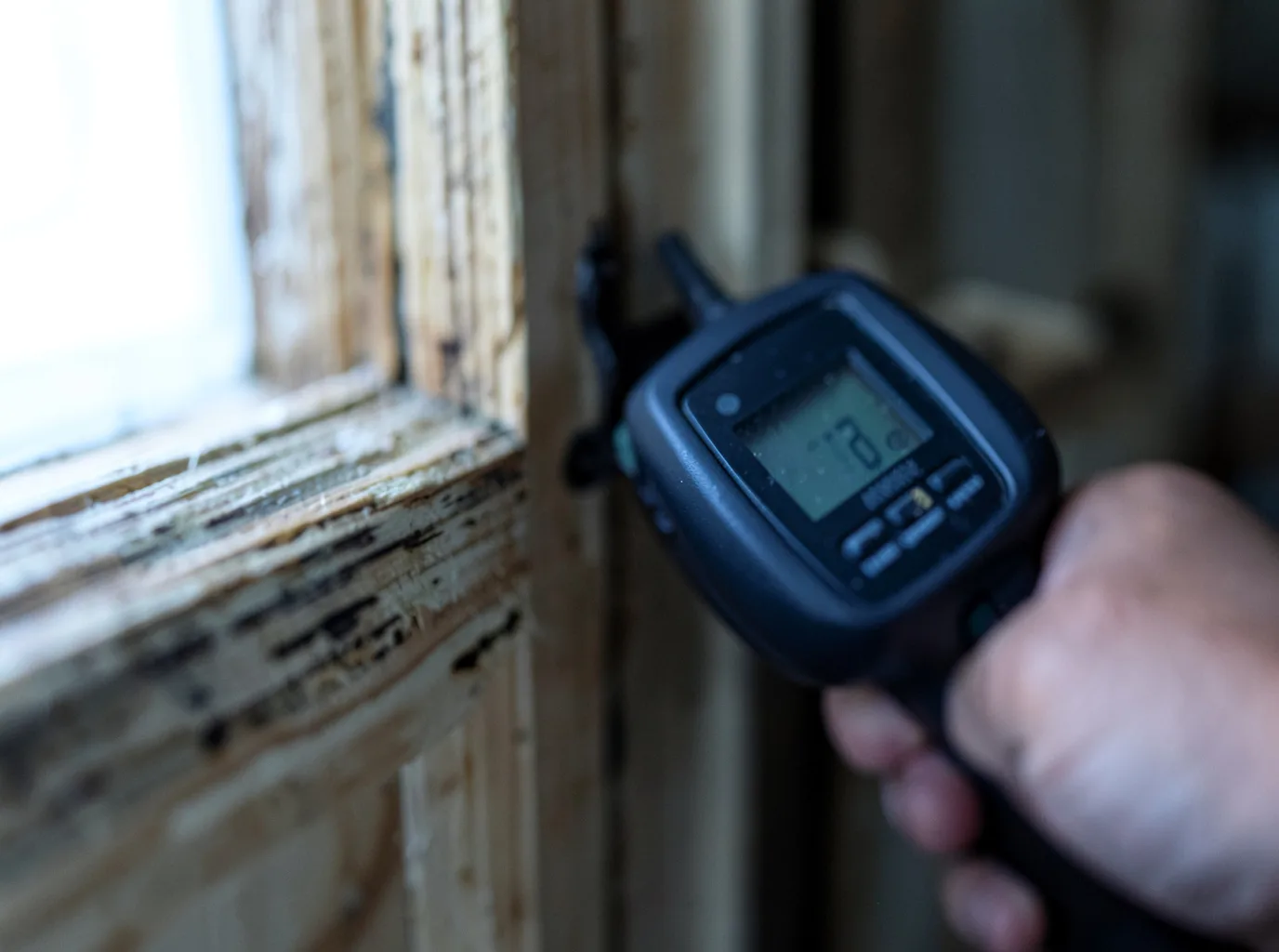 Moisture Inspection And Documentation in Princewick, WV